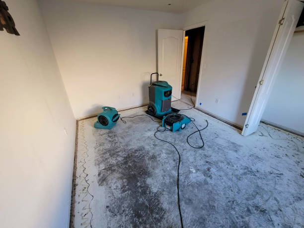 Best Mold removal after water damage  in Savanna, IL
