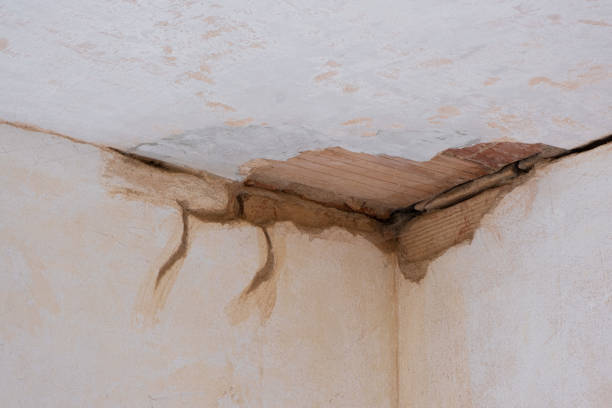 Best Local water damage restoration  in Savanna, IL