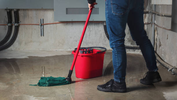 Best Fire Damage Restoration  in Savanna, IL