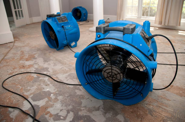 Best 24/7 water damage repair  in Savanna, IL