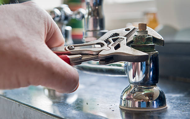 Best Flood damage cleanup  in Savanna, IL