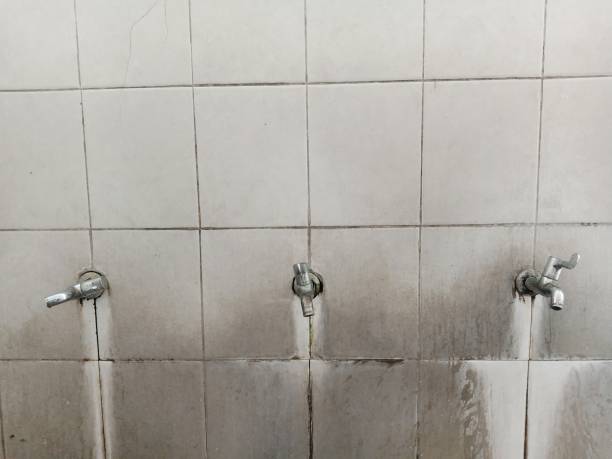 Best Residential water damage restoration  in Savanna, IL