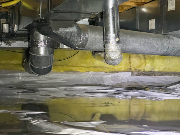 Best Basement water damage restoration  in Savanna, IL