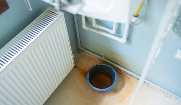 Best Water damage repair service  in Savanna, IL