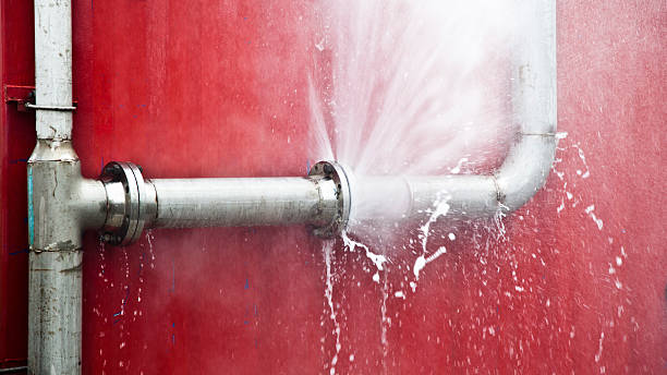 Best Flood restoration services  in Savanna, IL